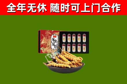 叶集区烟酒回收冬虫夏草礼盒.jpg