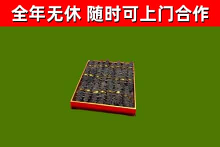 叶集区回收海参
